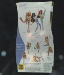 barbie flex bk
